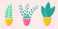 Plant in the pot set. 3d flowerpot icons. Cartoon houseplants with abstract leaves.
